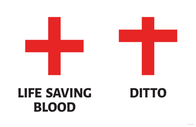 The work of Jesus Christ, the Son of God, was to save the life and dignity of everyone, everywhere