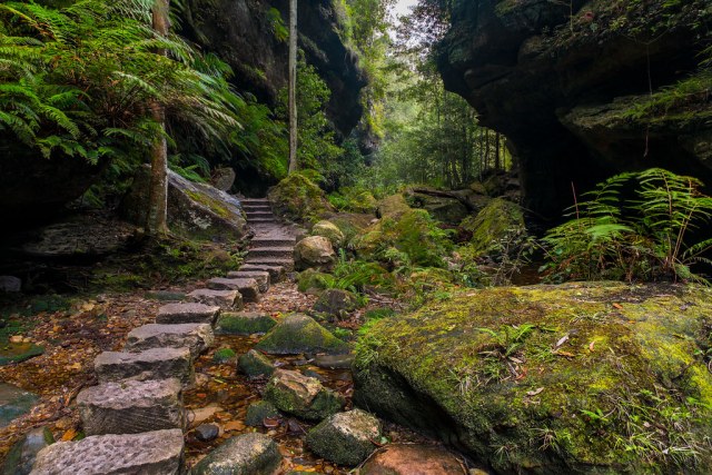 Grand Canyon, Blackheath, NSW Australia